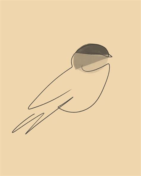 Black-capped Chickadee Bird Minimalism Line Drawing Black White Gray ...