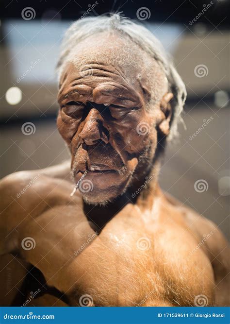 Reconstruction of the Head of Erectus Adult Man Editorial Photo - Image of body, science: 171539611