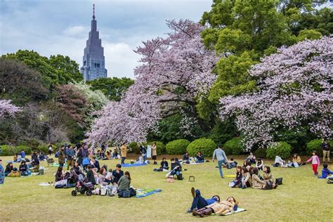 7 Reasons You Should Visit Tokyo This Summer - The Early Airway