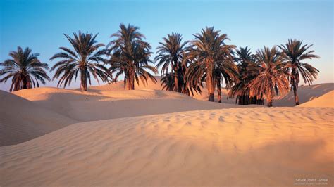 sahara desert - AtibaEmerson