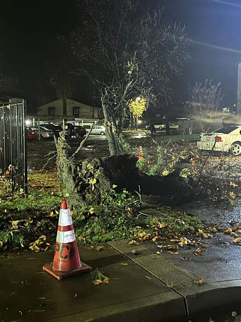 Tornado uproots trees and damages buildings in Northern California