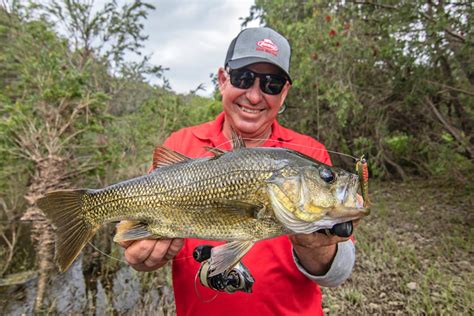 Bass Essentials: Catching bass on lures - Fishing World Australia