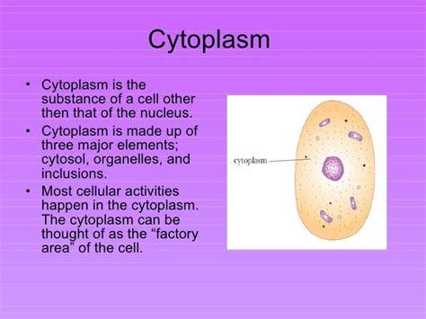 cytoplasm - DriverLayer Search Engine