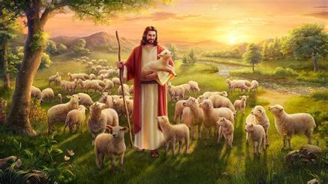 True Meaning of Parable of the Lost Sheep — Knowing God’s Will | by ...