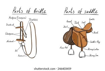 4,681 Saddle Parts Images, Stock Photos & Vectors | Shutterstock