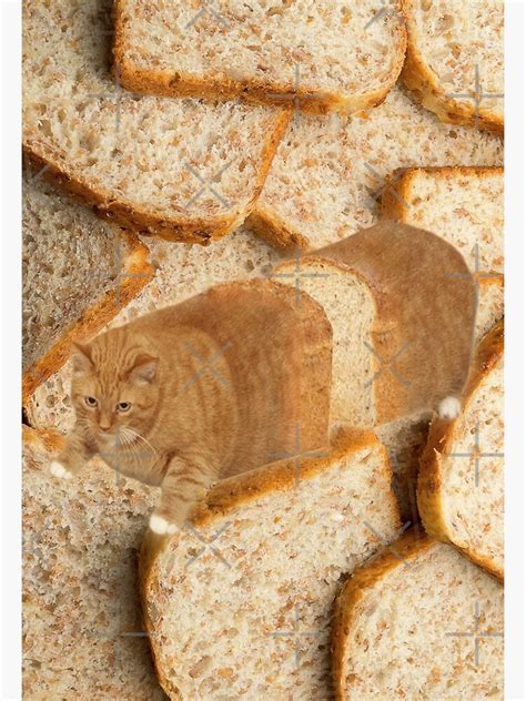 "Cat Loaf" Poster for Sale by Elisecv | Redbubble