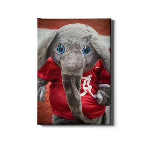 Alabama Crimson Tide Big Al University of Alabama College Mascot BAMA ...