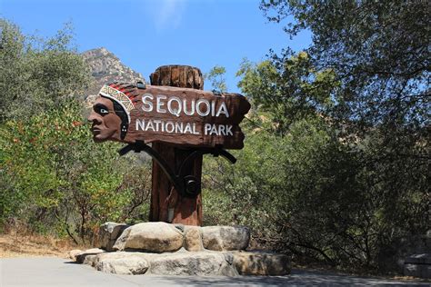 Sequoia National Park - Go Wandering