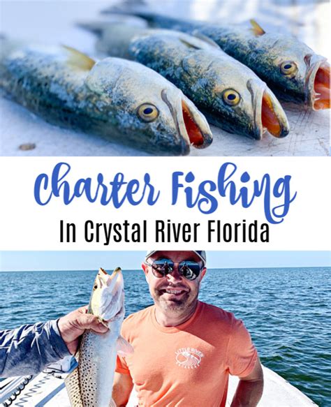 Crystal River Fishing - See How to Book the Best Charter Fishing Trip