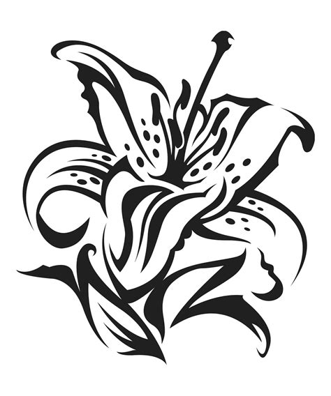 Lily Flower Drawing Pictures at GetDrawings | Free download