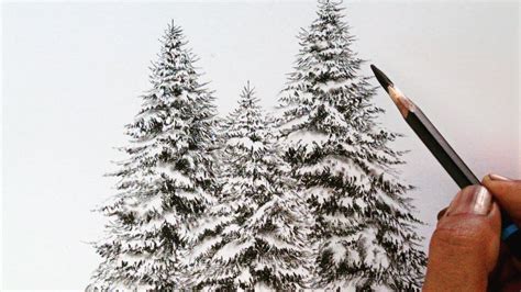 How to draw snow covered winter trees by pencil// Pencil drawing ...