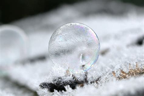 Free Images : water, snow, cold, winter, leaf, frost, ice, weather ...