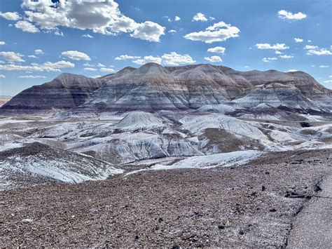 5 Best Hikes in Petrified Forest National Park - Trailhead Traveler