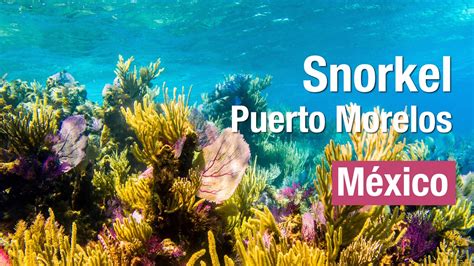 Snorkel en Puerto Morelos México 2017 - YouTube