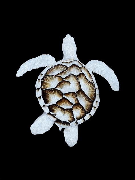 "Sea-Shell - Albino Sea Turtle" Art Print for Sale by ArtyOrca | Redbubble