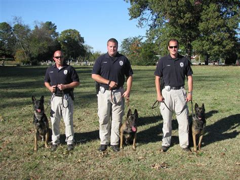 Madison Police Department adds 3 K-9 officers to force (video) - al.com