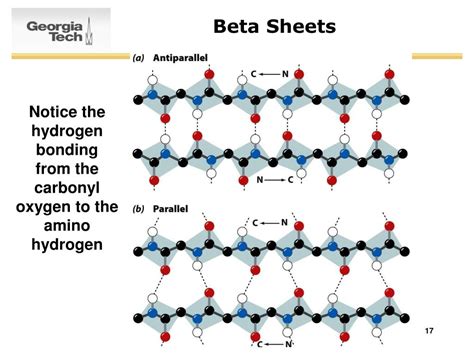 Hydrogen Bonding In Beta Sheets