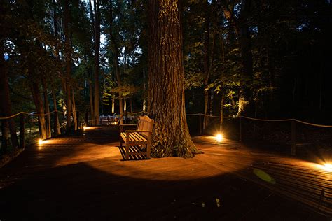 Deck | Carolina Outdoor Lighting