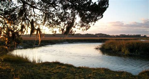 sapelo-island-website - Coastal Georgia Historical Society