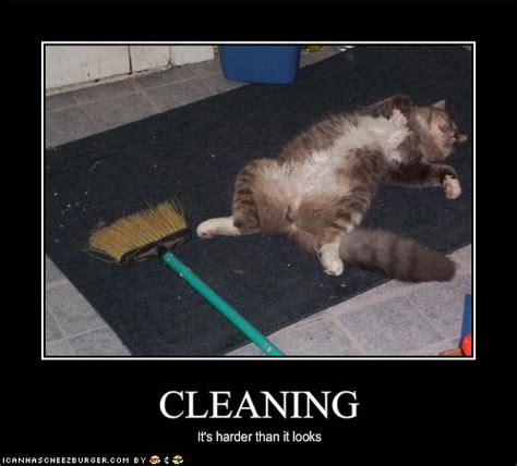 House Cleaning Funny Quotes. QuotesGram