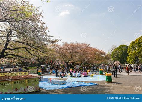 Many People Enjoying the Cherry Blossom in Ueno Park Editorial Stock ...