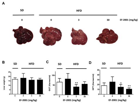 IJMS | Free Full-Text | Heat-Killed Enterococcus faecalis Inhibit FL83B Hepatic Lipid ...