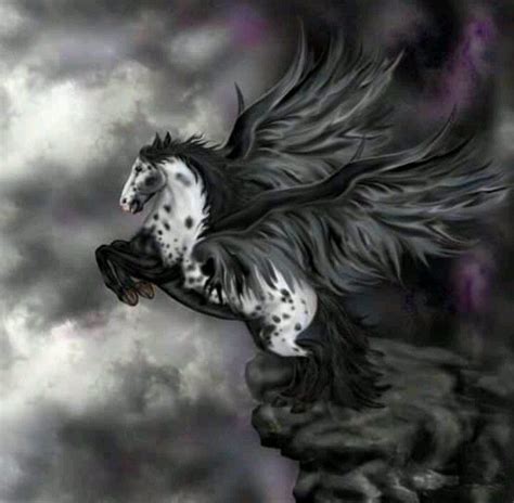 ~The Skies~ A Pegasus RP (Needs Players! Please Join!!) | Fantasy horses, Pegasus, Mythical ...