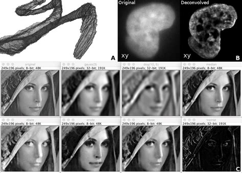 Examples of image processing algorithms available in ImageJ Ops. | Download Scientific Diagram