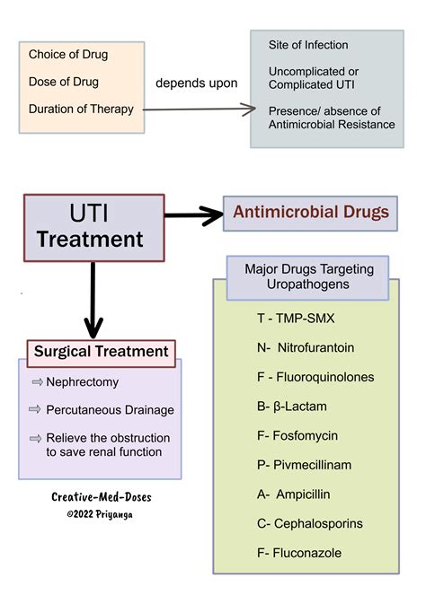 Urinary Tract Infection: Treatment - Creative Med Doses