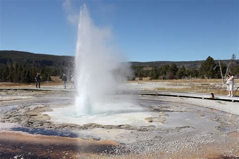 Yellowstone - Upper Geyser Basin