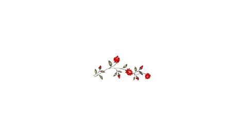 red roses background for computer, white and red and white ...