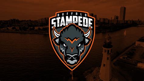 Stampede Bring New Face to Junior Hockey in Buffalo