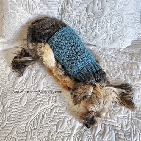 Chewy's Crochet Dog Sweater - Free Crochet Pattern for Pets - A Crocheted Simplicity