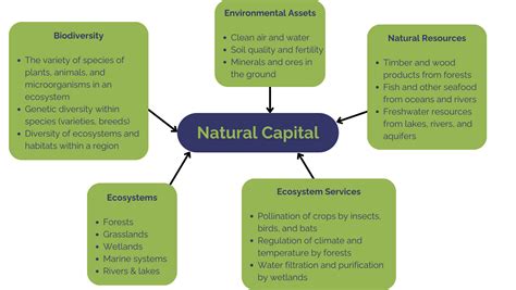 Natural Capital | Tees Valley Nature Partnership