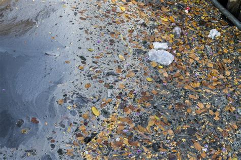 Basura De La Contaminación De Agua De Aguas Residuales En Tromba Marina ...