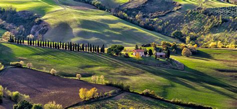 Montepulciano Wine Tours » VIP Visits to Top Vino Nobile Estates » CellarTours