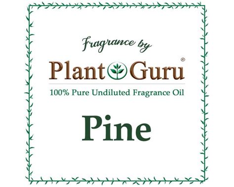 Pine Fragrance Oil