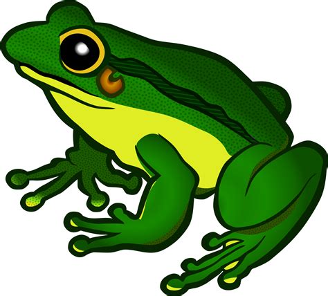 Free Frog Clipart Transparent, Download Free Frog Clipart Transparent png images, Free ClipArts ...