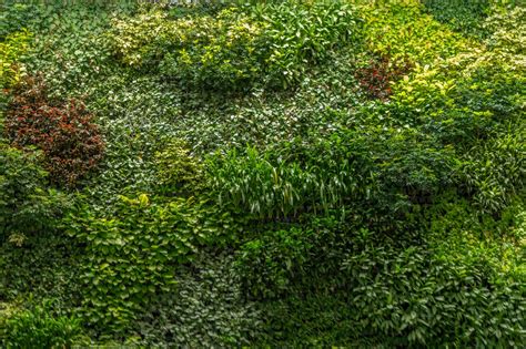 Moss wall, green grass wall decorati | Architecture Stock Photos ~ Creative Market