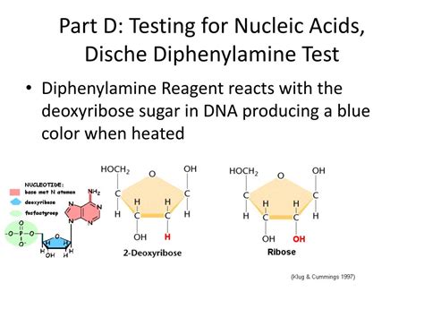 PPT - Organic Compounds PowerPoint Presentation, free download - ID:1598425