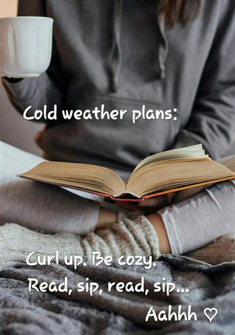 Hot Weather Plans too, in my case | Quotes for book lovers, Book nerd, Reading quotes