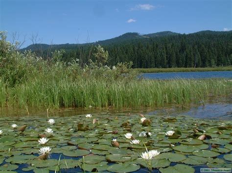 Clearwater River Canoe Trail, Seeley Lake, Montana