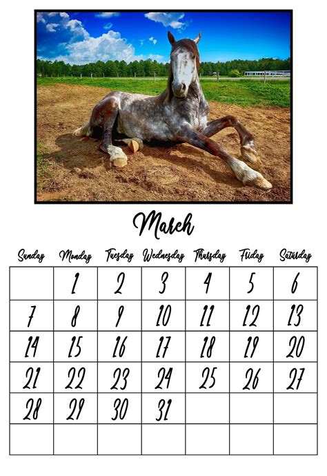 2021 Horses Calendar Printable PDF digital download | Etsy