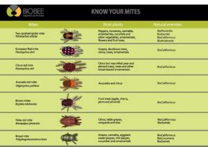 KNOW YOUR MITES - BioBee