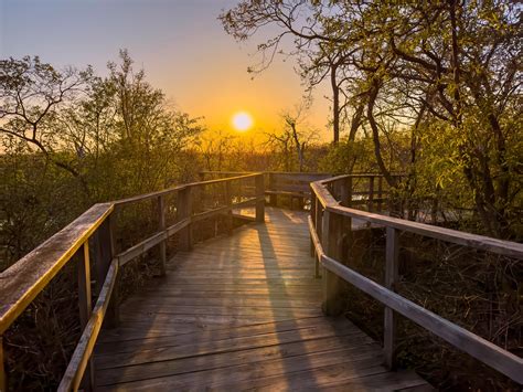 Ohio Sunset | Magee Marsh Boardwalk | Lee Markowitz | Flickr