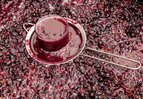 Post Fermentation Management Choices for Red Wines | The Grapevine Magazine