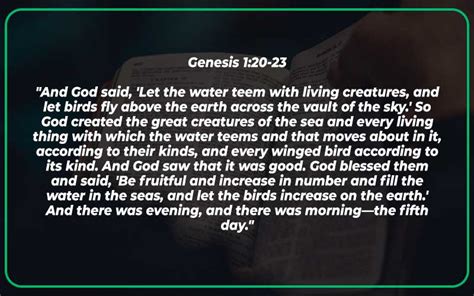 Genesis 1:20-23 Meaning and Explanation - Scripture Savvy