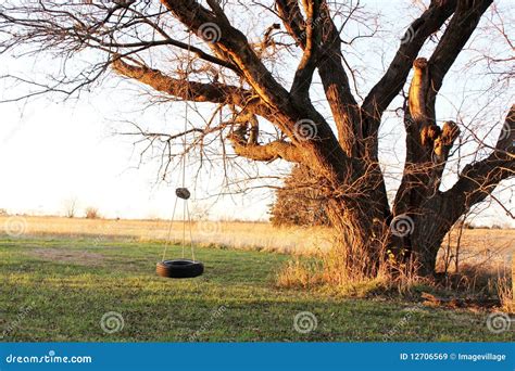 Tire swing stock image. Image of design, funny, outdoor - 12706569