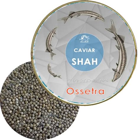 What Is Osetra Caviar? | taste+type+history- Caviar Shah