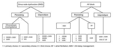 Basic cardiac pacing, pacemaker functions and settings – Cardiovascular Education